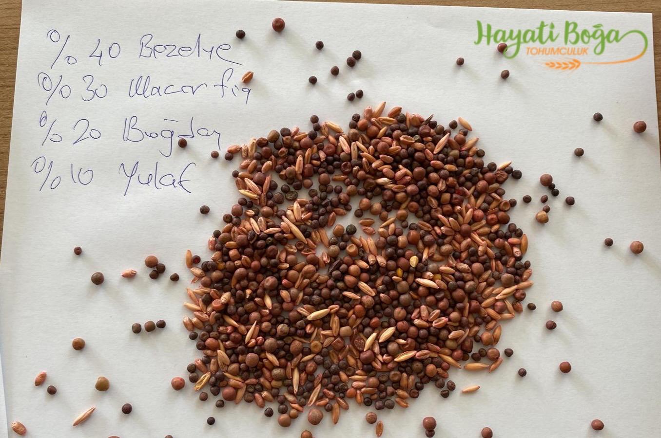 karışım yem bitkisi tohumu.