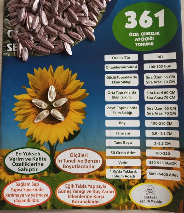 çerezlik ayçekirdeği tohumu