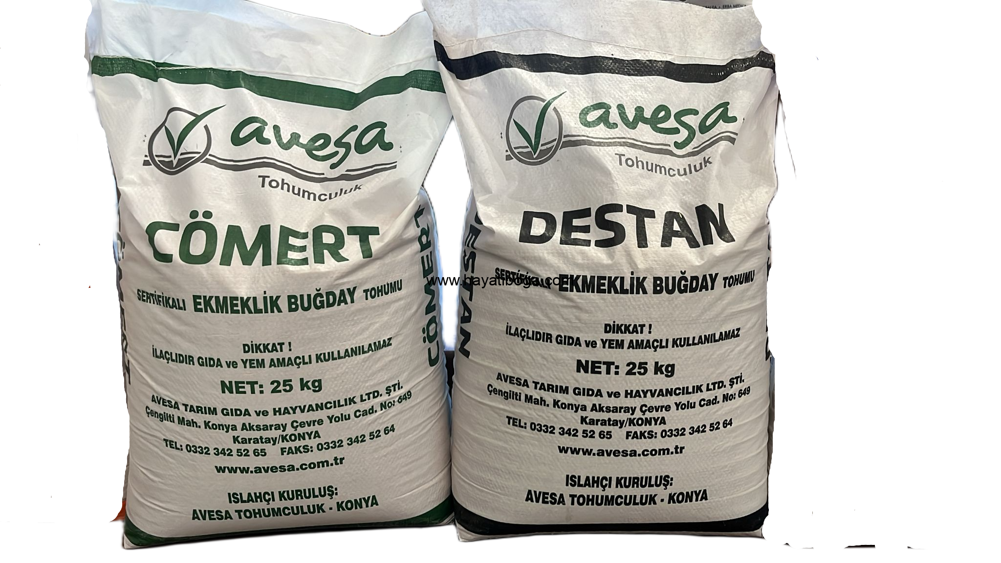 destan buğday tohumu . cömert buğday tohumu